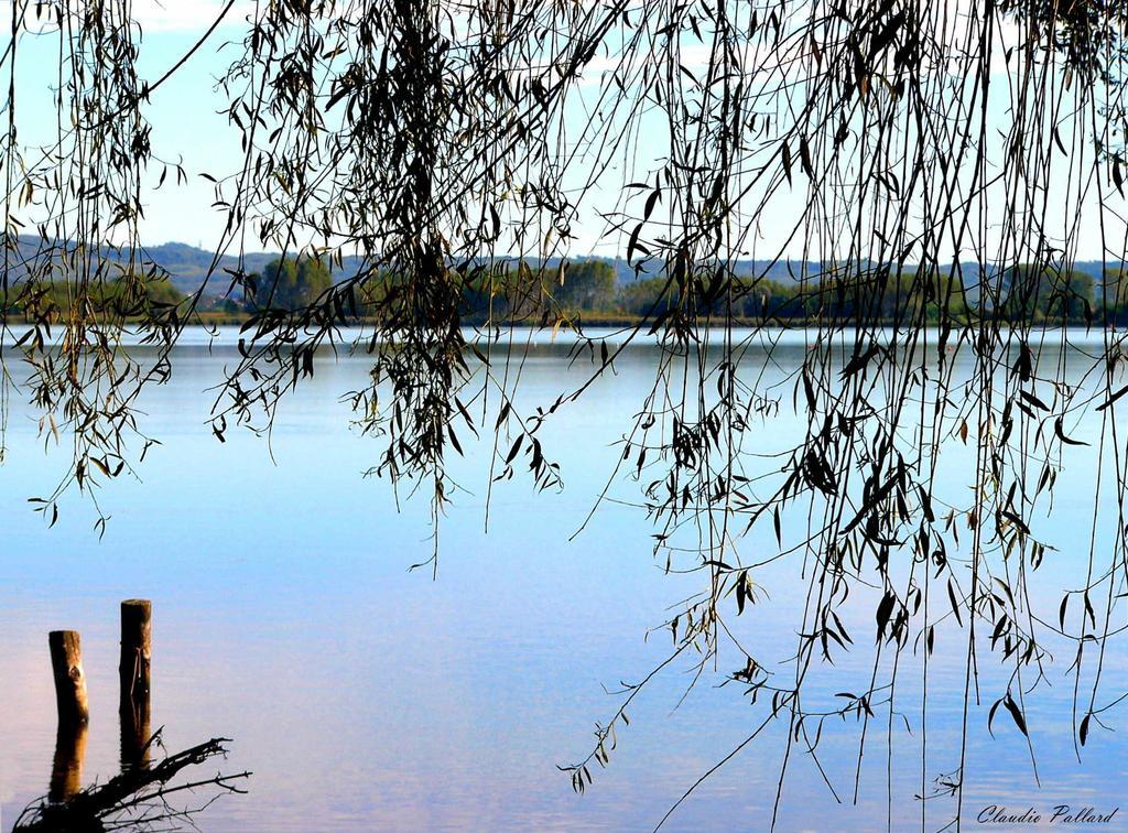Anthares World Resort Candia Canavese Exteriér fotografie
